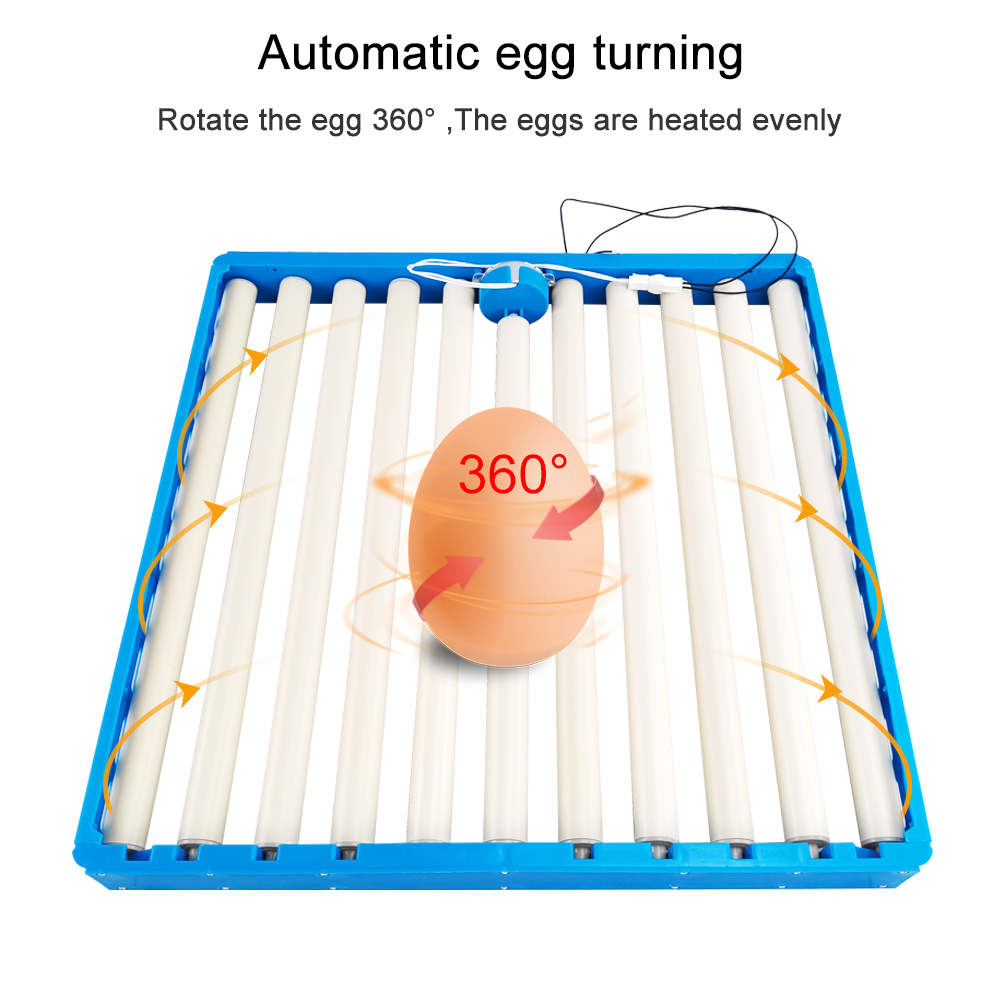 Hunting Quail - Mesin Penetas Telur 70 Otomatis 360