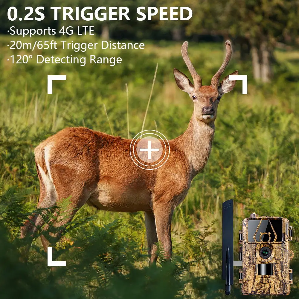 Kamera Inframerah HD8K 4G, kam - Outdoor Hunting Video Camera ulasan dan harga
