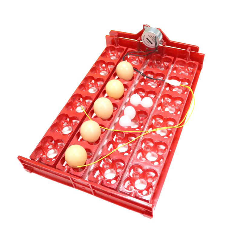 24 telur/96 baki penetas telur - Hunting Quail ulasan dan harga