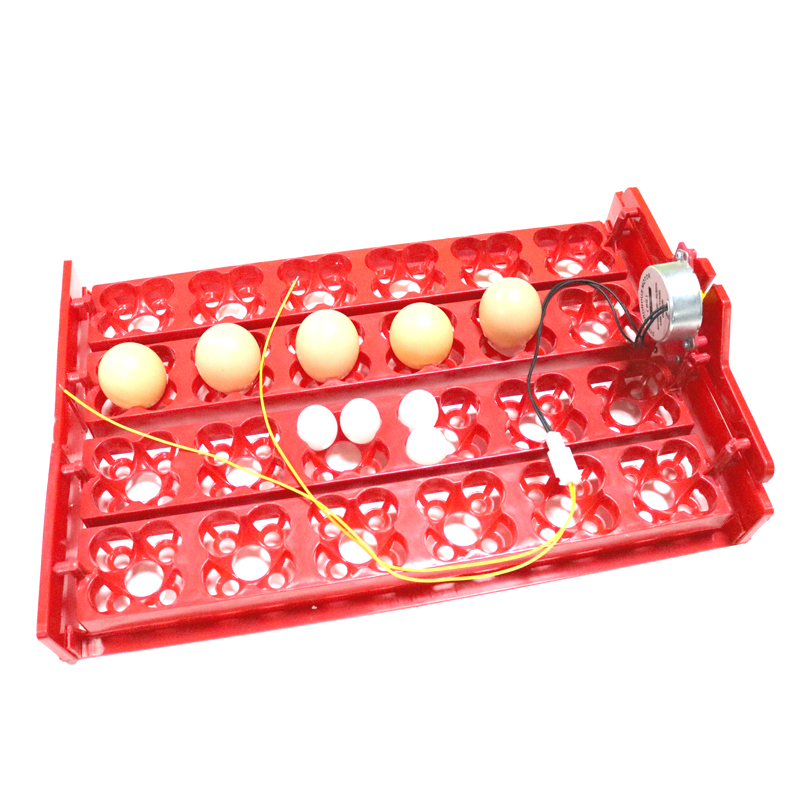 24 telur/96 baki penetas telur - Hunting Quail ulasan dan harga