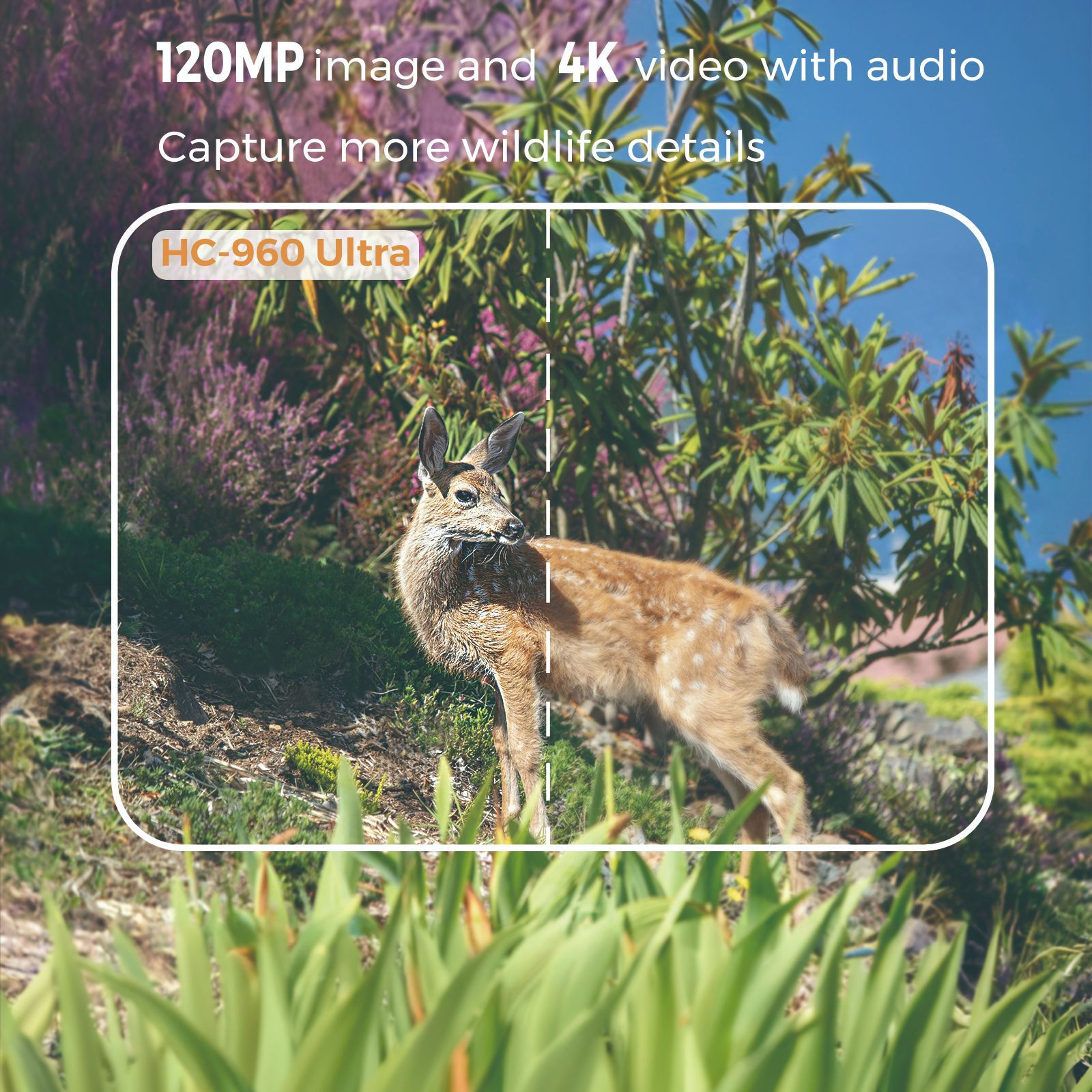 Kamera Inframerah Penglihatan  - Outdoor Hunting Video Camera ulasan dan harga
