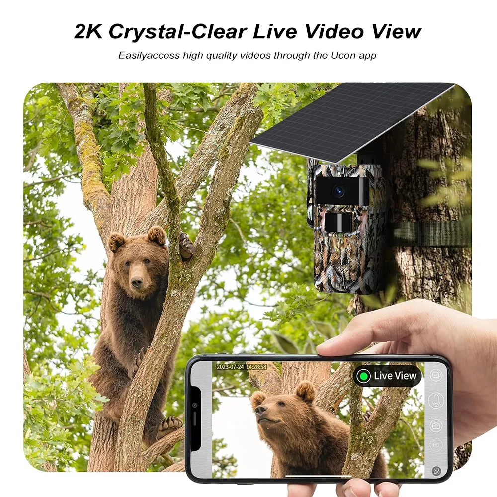 PEGATAH Kamera Trail Bertenaga - Outdoor Hunting Pictures ulasan dan harga