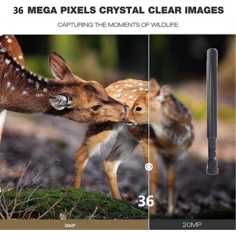 Kamera berburu luar ruangan HC - Outdoor Hunting Pictures ulasan dan harga