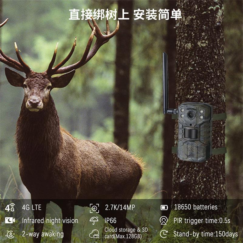 Kamera Perburuan Tenaga Surya  - Outdoor Hunting Video Camera ulasan dan harga