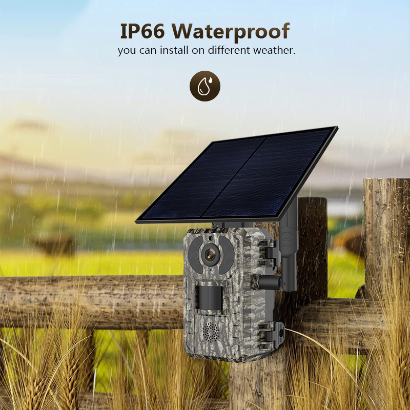 Kamera pengintaian berburu sat - Outdoor Hunting Camera Wifi ulasan dan harga
