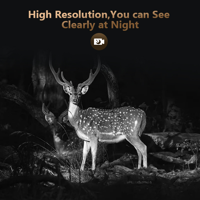 Kamera pengintaian berburu sat - Outdoor Hunting Camera Wifi ulasan dan harga