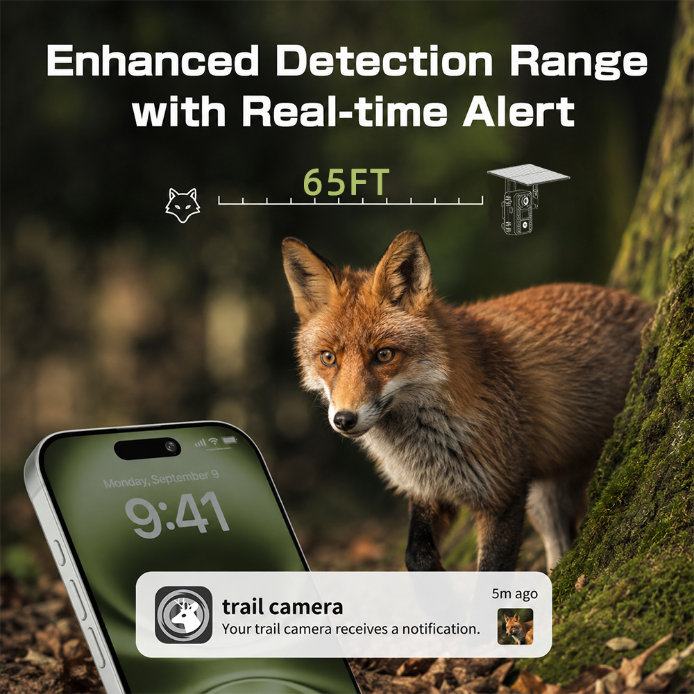 Kamera Pintar Berburu Satwa Li - Outdoor Hunting Video Camera ulasan dan harga