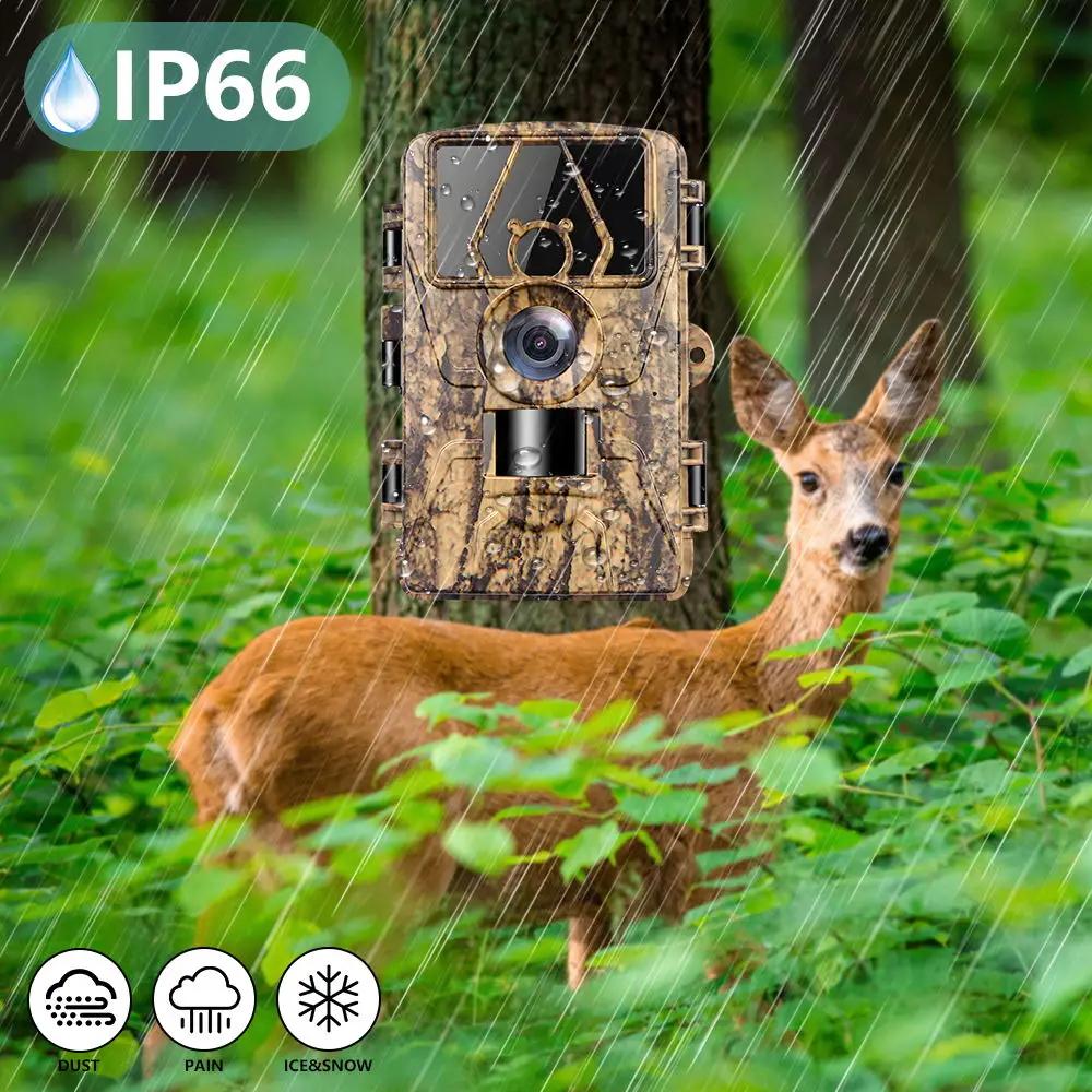 Kamera Pelacakan Tahan Air Wif - Outdoor Hunting Camera Wifi ulasan dan harga
