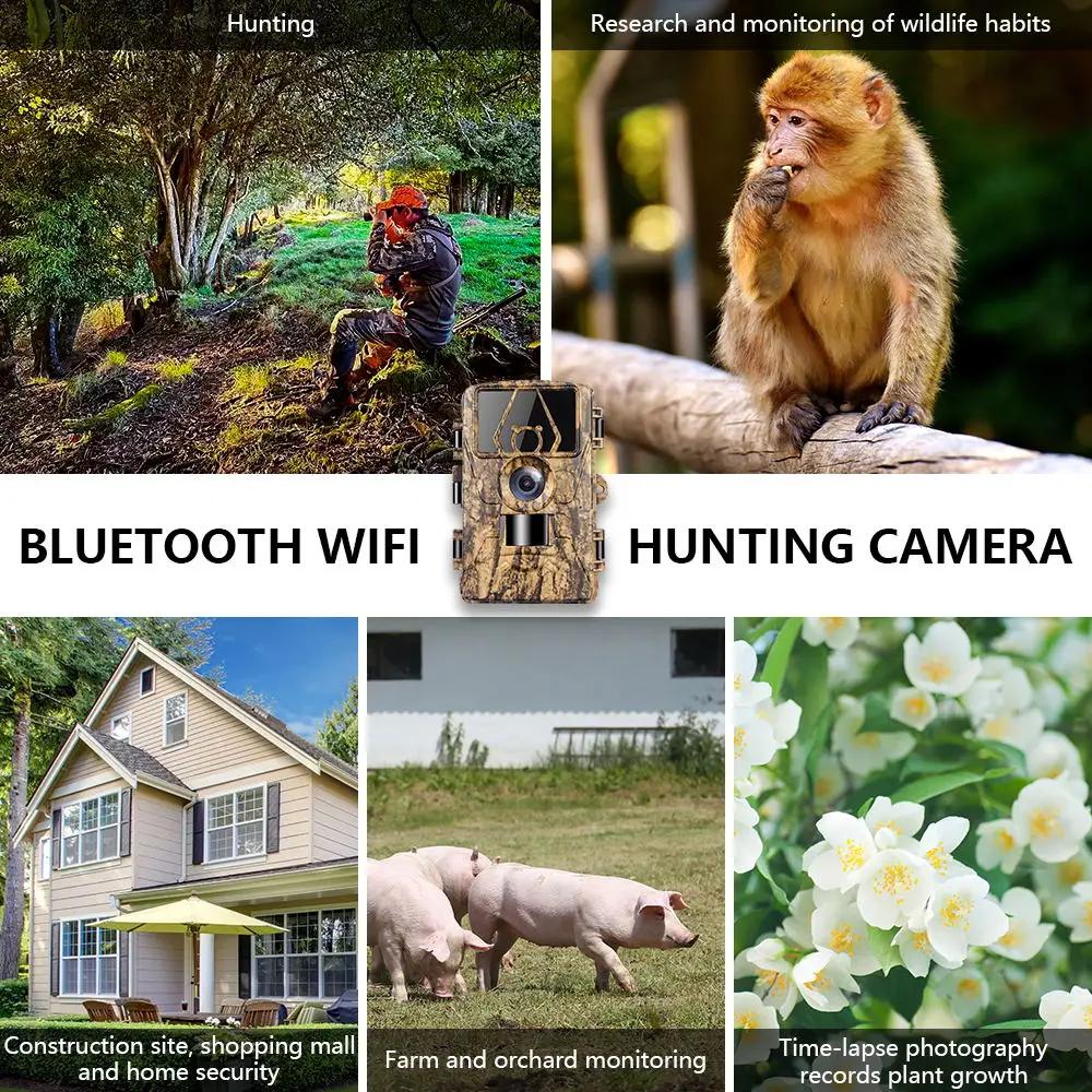 Kamera Pelacakan Tahan Air Wif - Outdoor Hunting Camera Wifi ulasan dan harga