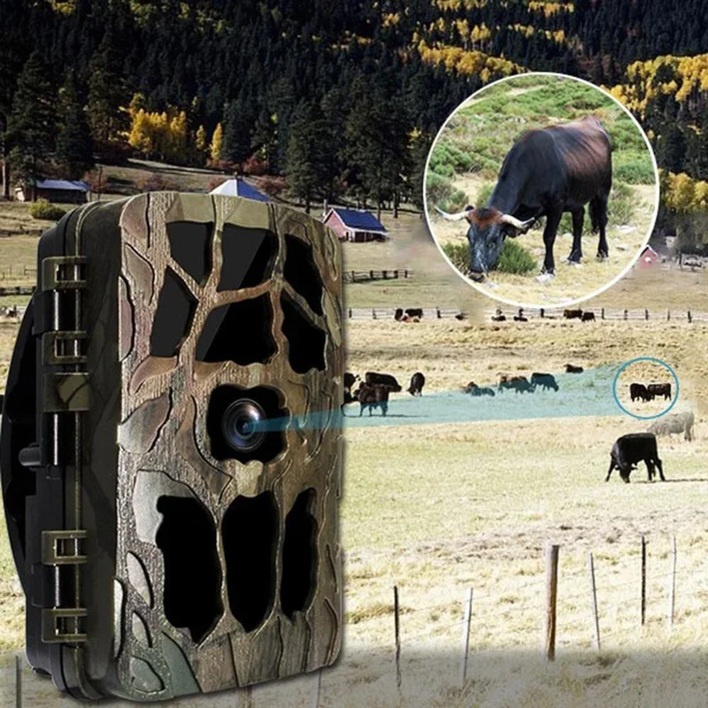 H982 IP66 Tahan Air 4K Inframe - Outdoor Hunting Video Camera ulasan dan harga