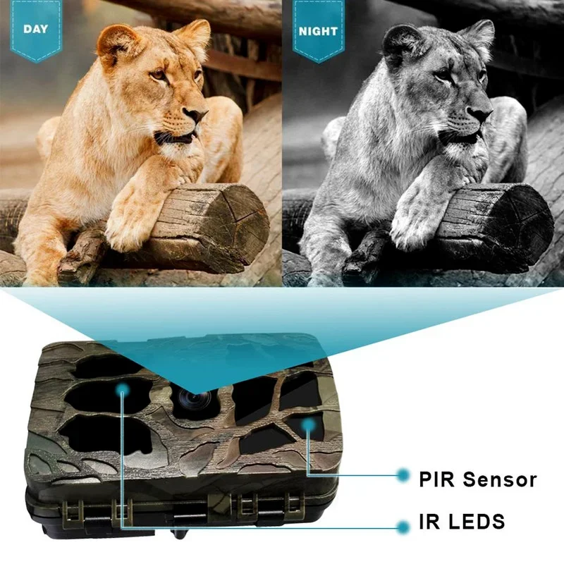 H982 IP66 Tahan Air 4K Inframe - Outdoor Hunting Video Camera ulasan dan harga
