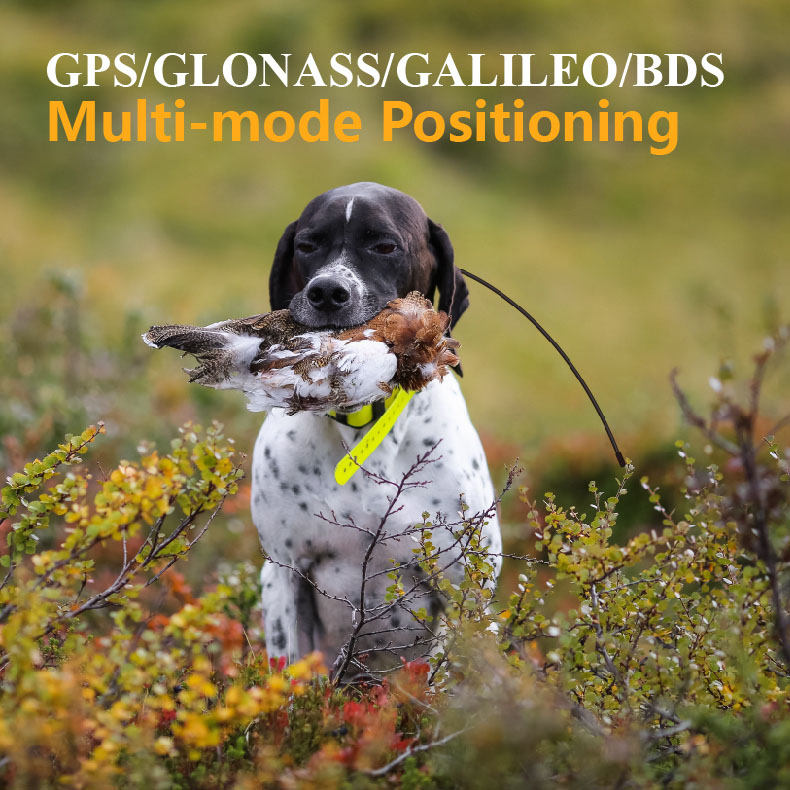 Pelacak GPS Global untuk Hewan - Outdoor Hunting Dog Supply ulasan dan harga